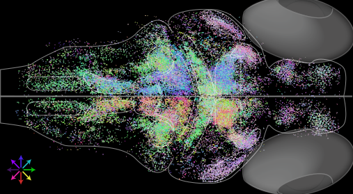 Real-time analysis of neural data