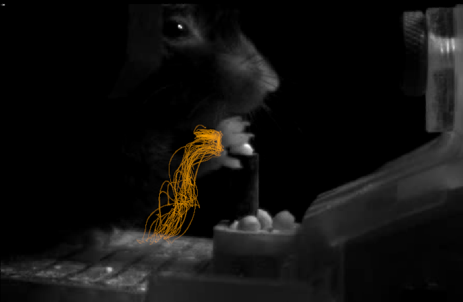 Control of reach and grasp